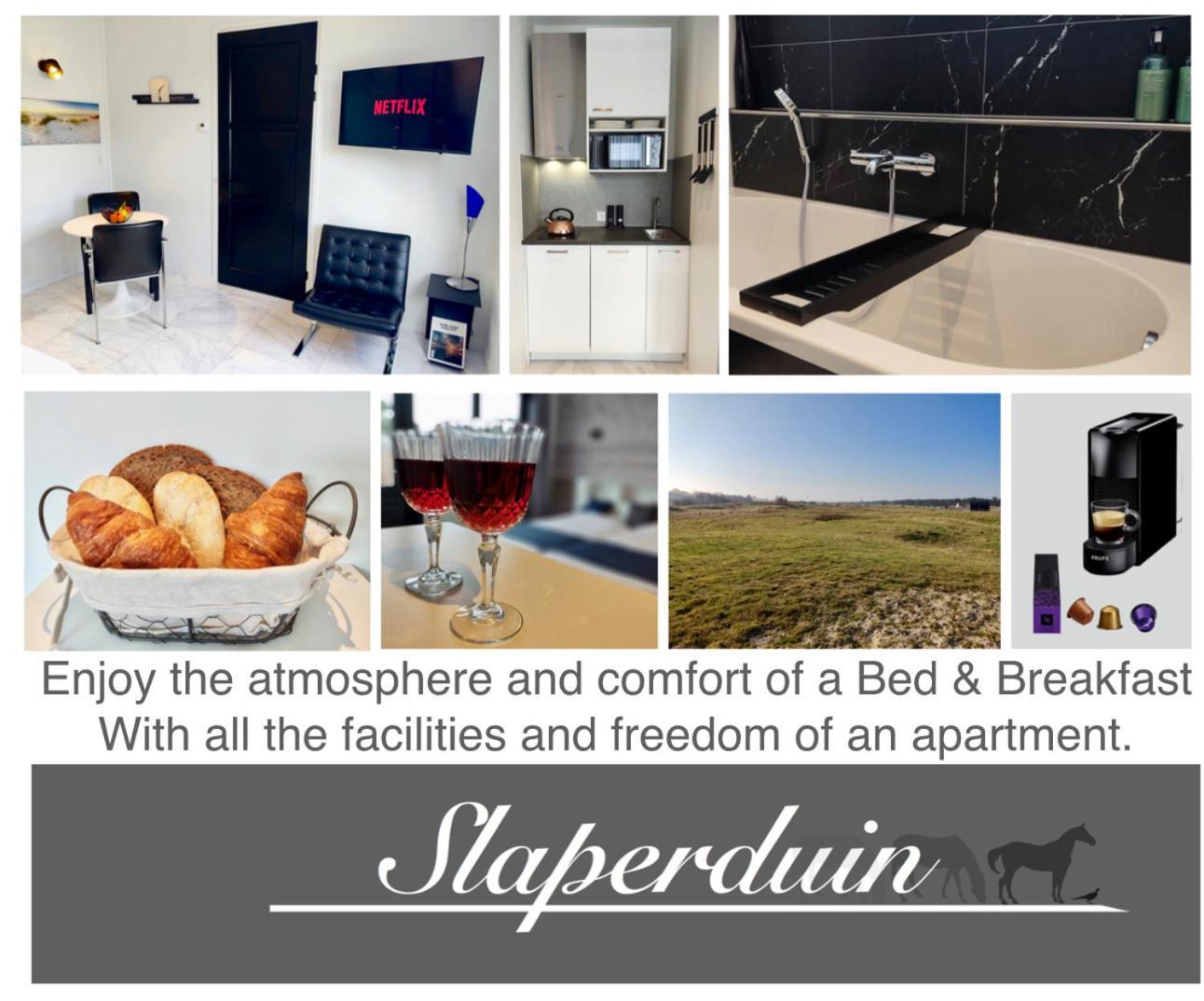 Bed & Breakfast Slaperduin Buren (Friesland) Exterior foto